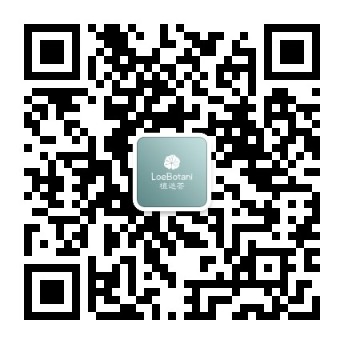 关注官方二维码